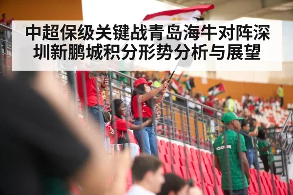 soccer stadium crowd